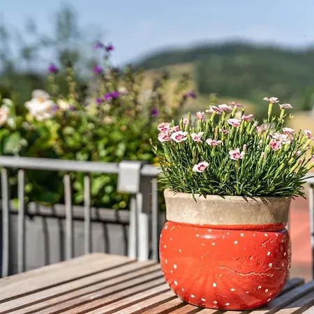 Am Kapellenberg * 바트 페테르스탈-그리스바흐